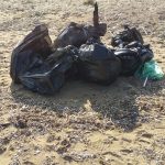 Alagadi Plajında Gönüllü Olarak Çöp Toplama Etkinliğinden Kareler