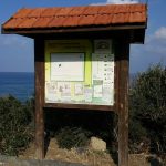 Alagadi Plajında Gönüllü Olarak Çöp Toplama Etkinliğinden Kareler